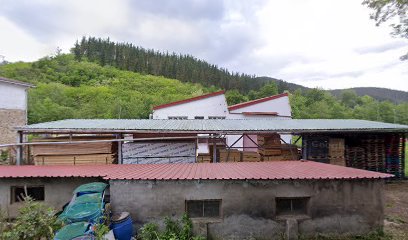 Carpintera Motxorro